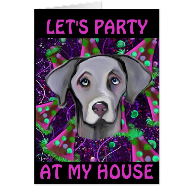 WEIMARANER (Vorne)