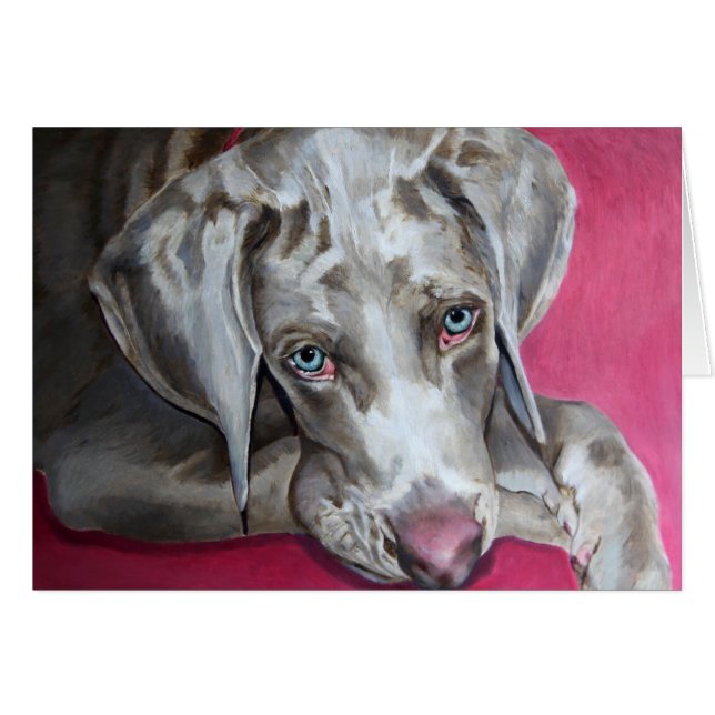 Weimaraner (Vorderseite (Horizontal))
