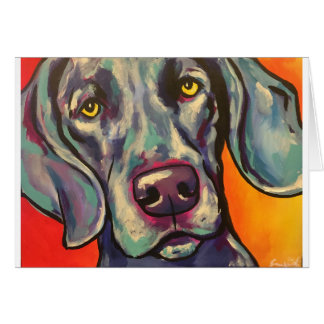 weimaraner