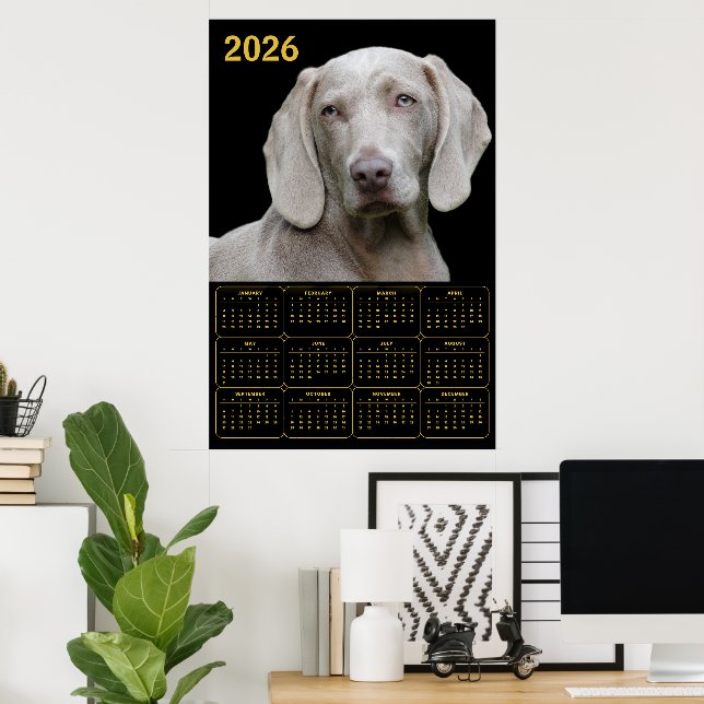Weimaraner 2026 Calendar Poster (Heimbüro)