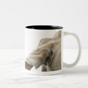 Weimaraner 2 zweifarbige tasse