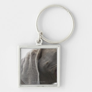 Weimaraner 3 schlüsselanhänger