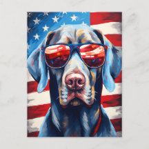 Weimaraner 4. Juli Unabhängigkeitstag