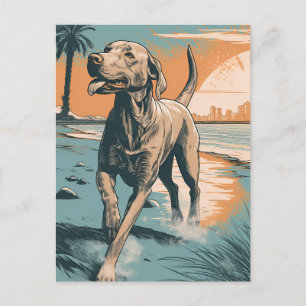 Weimaraner am Strand Postkarte