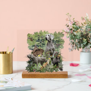 Weimaraner Art Acrylschild