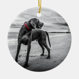 Weimaraner auf Foto des Strand-B&W mit rotem Keramik Ornament