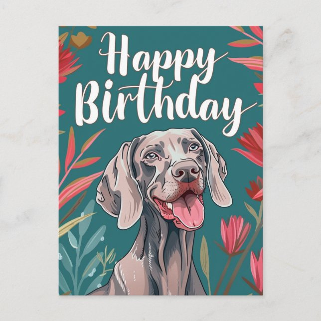 Weimaraner Birthday Postkarte (Vorderseite)