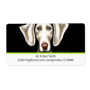 Weimaraner Black n Olive Traditionelles