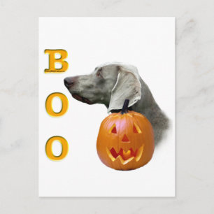 Weimaraner Boo Postkarte