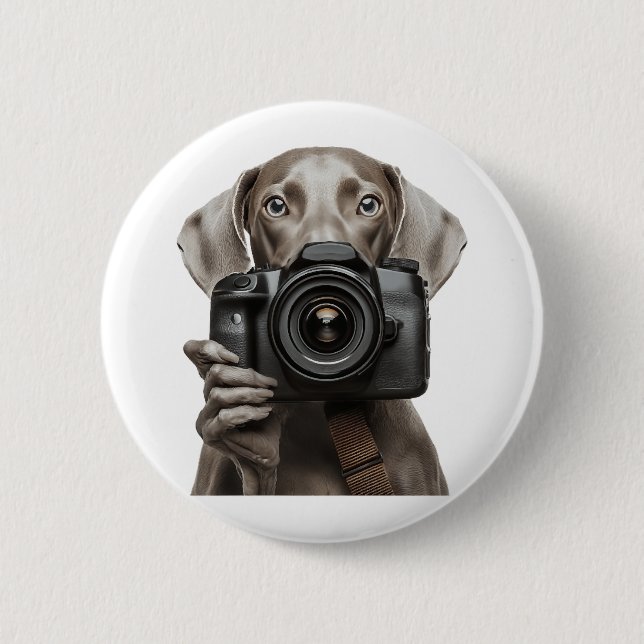 Weimaraner  button (Vorderseite)