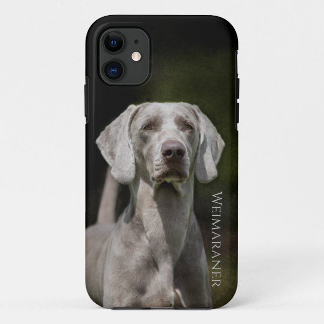 Weimaraner Case-Mate iPhone Hülle (Rückseite)