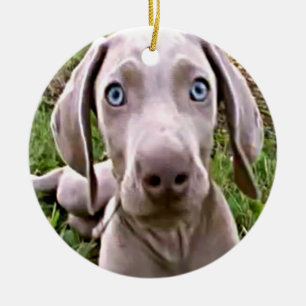 "WEIMARANER" CHRISTMAS ORNANAS KERAMIKORNAMENT