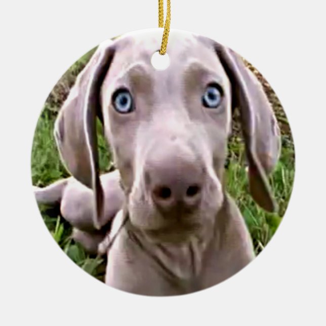 "WEIMARANER" CHRISTMAS ORNANAS KERAMIKORNAMENT (Vorne)