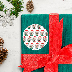 Weimaraner Dog Breed Weihnachtsstars Runder Aufkleber