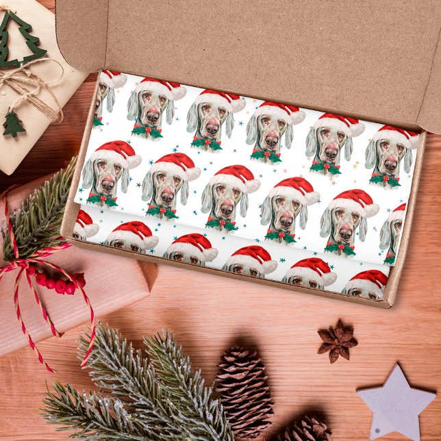 Weimaraner Dog Breed Weihnachtsstars Seidenpapier (Von Creator hochgeladen)