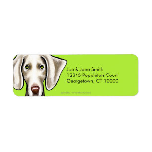 Weimaraner Dog Olive