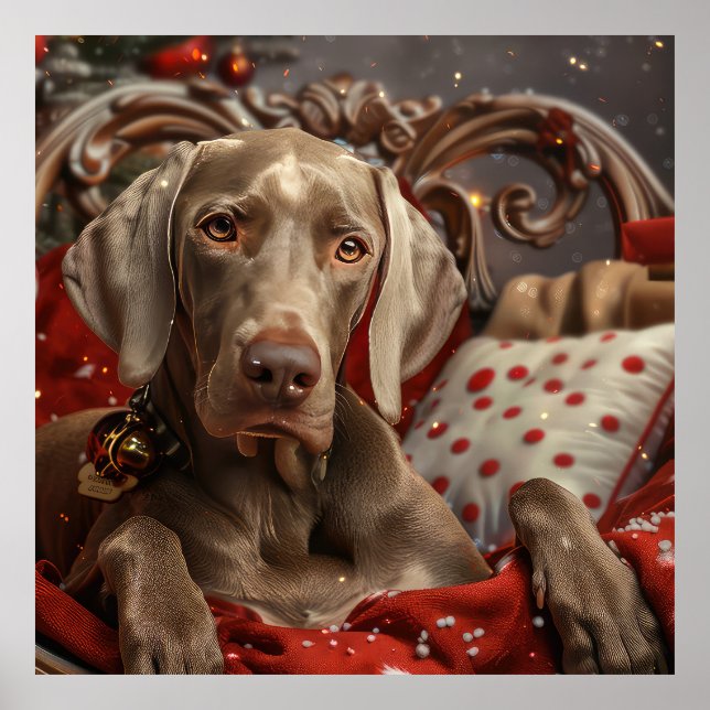 Weimaraner Dog Weihnachtsfest Poster (Vorne)