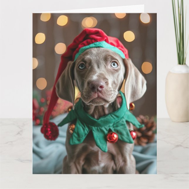 Weimaraner Elf Welppy Weihnachtskarte Karte (Vorderseite)