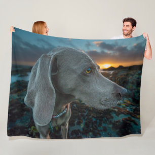 WEIMARANER FLEECEDECKE