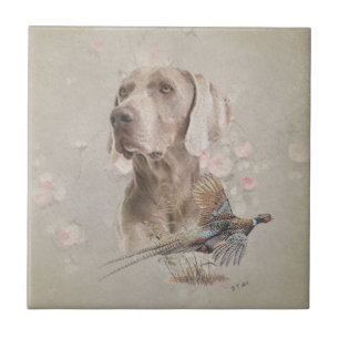 Weimaraner Fliese