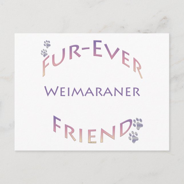 Weimaraner Furever Friend Postkarte (Vorderseite)