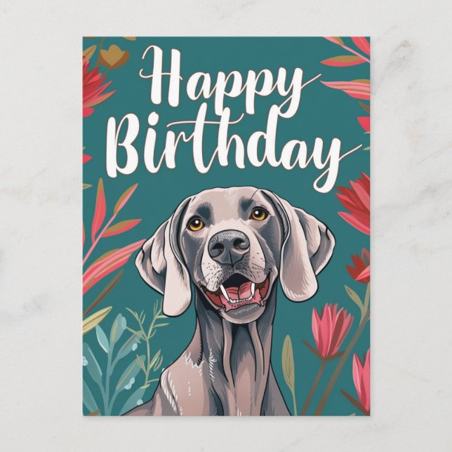 Weimaraner Geburtstag Postkarte (Vorderseite)