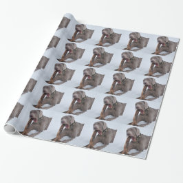 Weimaraner Geschenkpapier