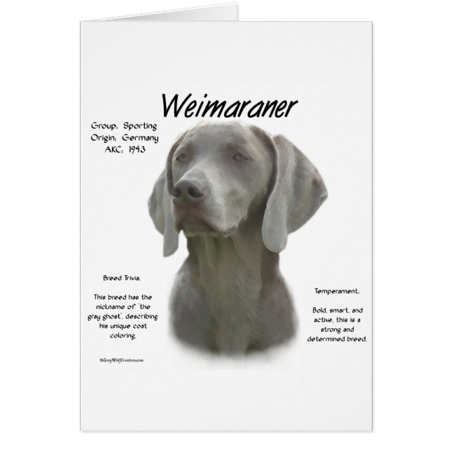 Weimaraner Geschichtsdesign (Vorne)