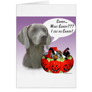 Weimaraner Halloween Candy