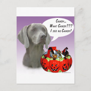 Weimaraner Halloween Candy Postkarte