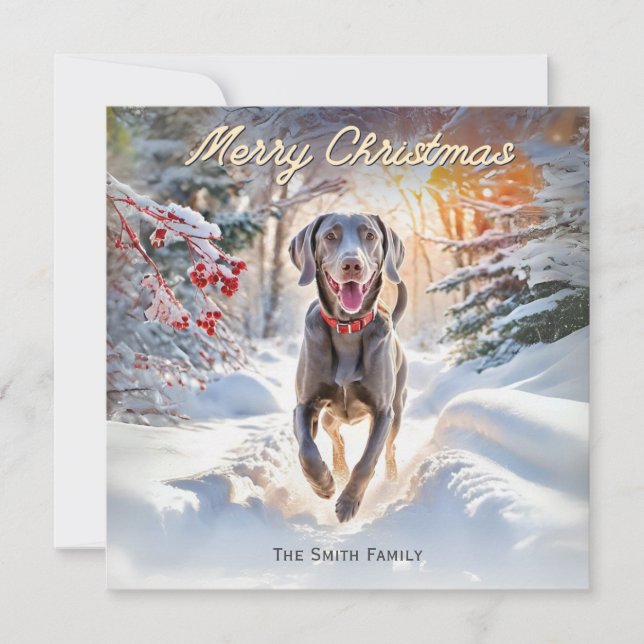 Weimaraner Hund in Schnee Frohe Weihnachten (Vorderseite)