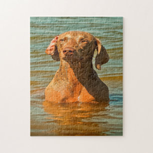 Weimaraner Hund Jigsaws. Puzzle
