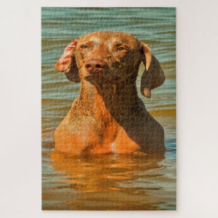 Weimaraner Hund Jigsaws. Puzzle