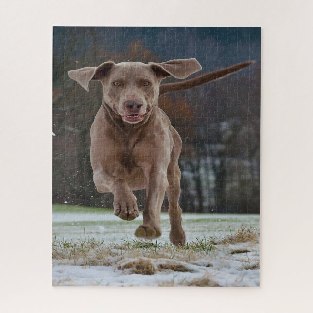 Weimaraner Hund Jigsaws. Puzzle (Vertikal)