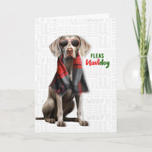 Weimaraner Hund Lustige Flöhe Navidog Weihnachten
