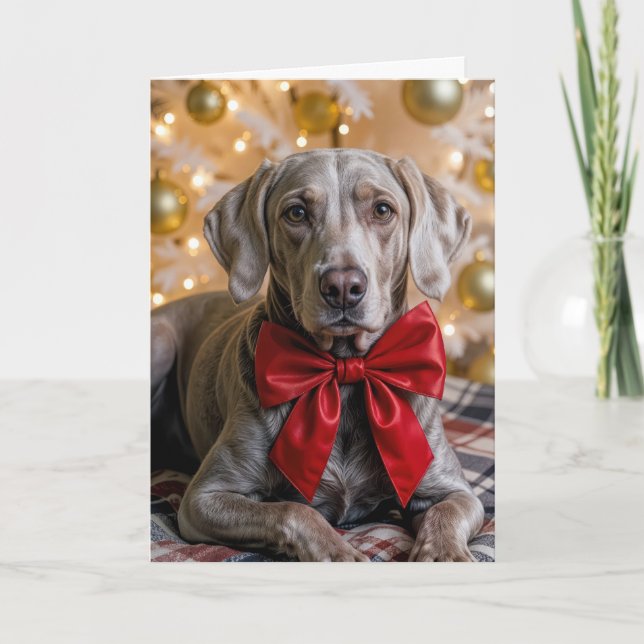 Weimaraner-Hund mit roter Schleife zu Weihnachten Karte (Vorderseite)