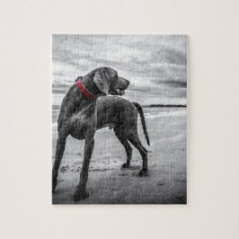 Weimaraner Hund Puzzle