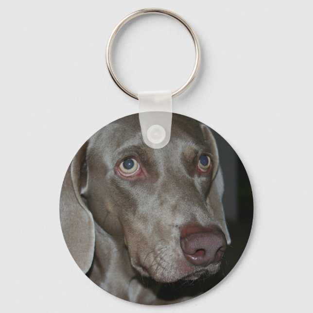 Weimaraner Hund Schlüsselanhänger (Vorderseite)