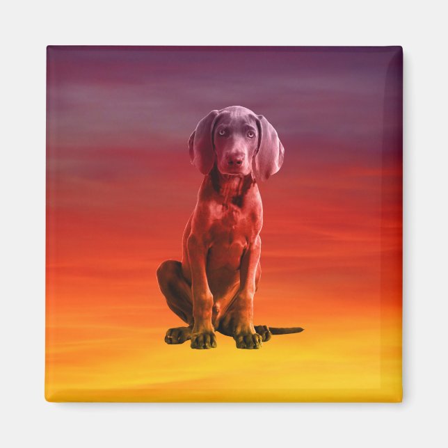 Weimaraner Hund sitzt am Strand Magnet (Vorne)