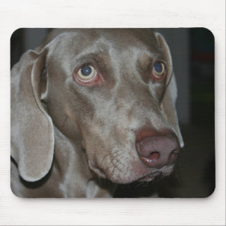 Weimaraner Hundemausunterlage Mousepad