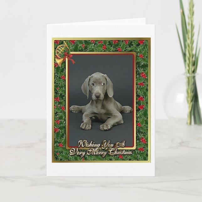 Weimaraner Hunderaum-Weihnachtskarte Feiertagskarte (Vorderseite)