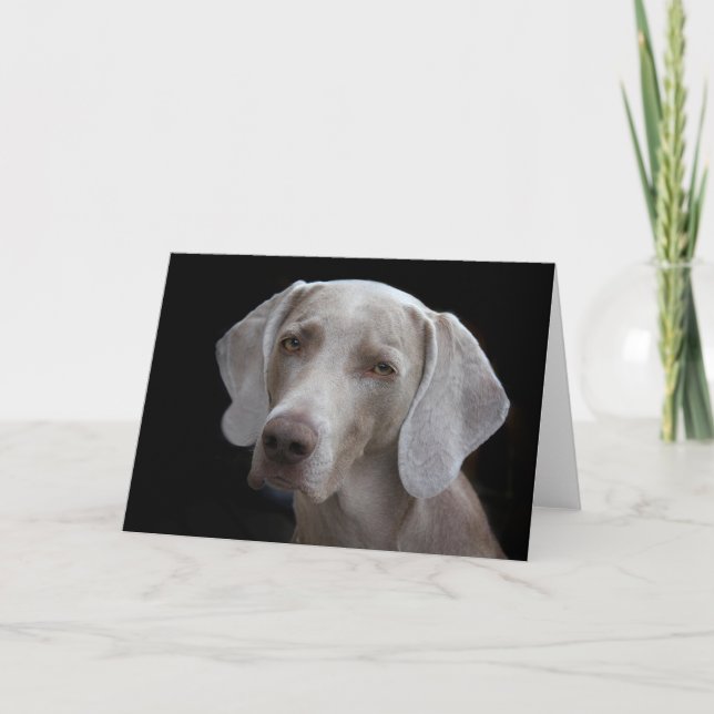 Weimaraner-Hundeschablone Karte (Vorderseite)