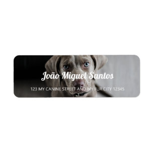 Weimaraner HundeThemed Haustier-Tier-cooles