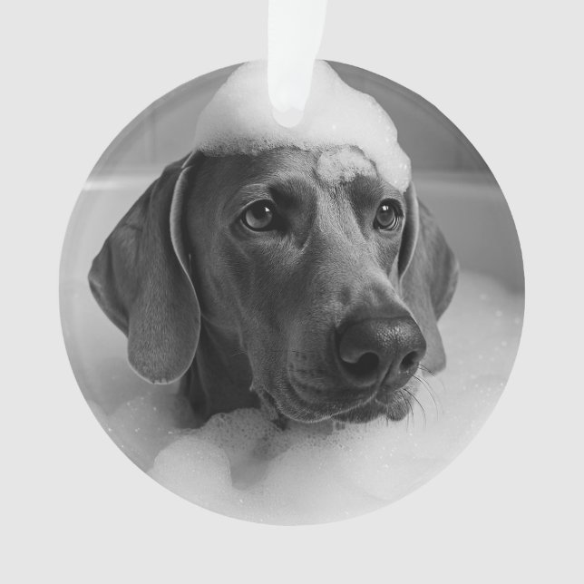 Weimaraner im Bad mit Blasen auf dem Kopf Ornament (Vorderseite)