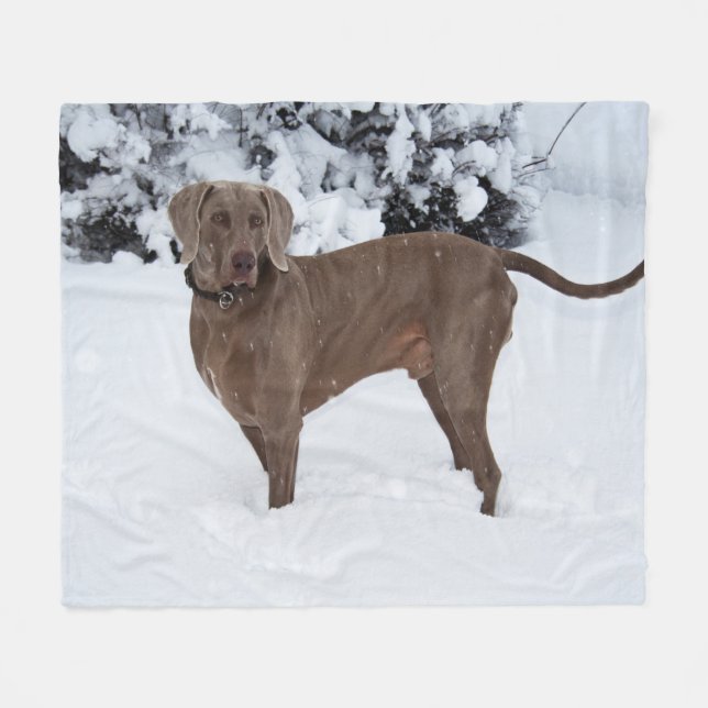 Weimaraner im Winter Fleecedecke (Vorderseite (Horizontal))