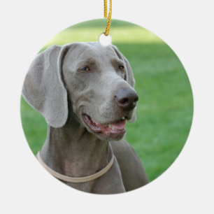 Weimaraner Keramikornament