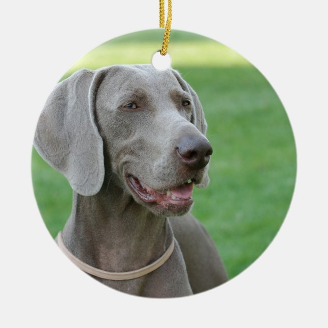 Weimaraner Keramikornament (Vorne)