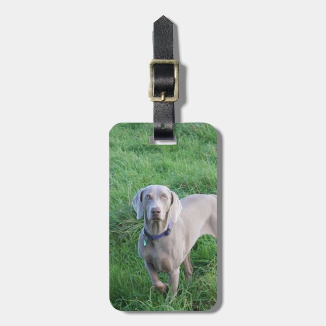 Weimaraner Liebhaber-Gepäckanhänger Gepäckanhänger (Vorderseite vertikal)