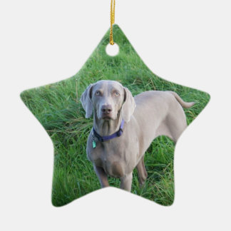 Weimaraner Liebhaber-Verzierung Keramik Ornament