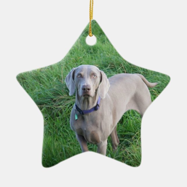 Weimaraner Liebhaber-Verzierung Keramik Ornament (Vorne)